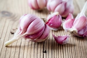 Head of garlic and purple cloves